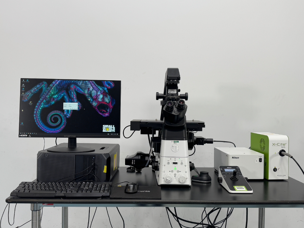 Image of Nikon Eclipse Ti2 Inverted Microscope